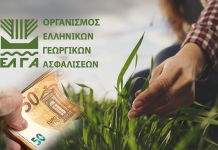 ΕΛΓΑ: Ολοκληρώθηκαν οι πληρωμές αποζημιώσεων του 2025-Καταβλήθηκαν 6.617.425 € σε 5.201 παραγωγούς.